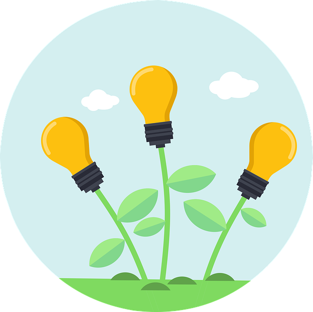 Accesibilitate și flexibilitate